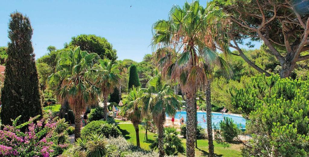 La Badine 5P Plage Piscine Clim Jacuzzi Parc Luxuriant Hyeres Exterior photo